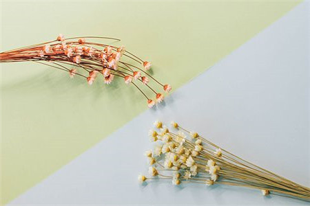 上海公立小学教师应聘要求有哪些?