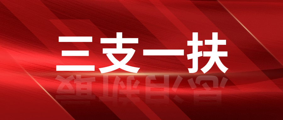 2022年上海市高校毕业生“三支一扶”计划招募公告