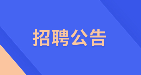 教师招聘公告